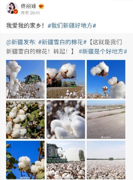 H&M惹众怒!佟丽娅肖战等众星发声支持新疆棉花